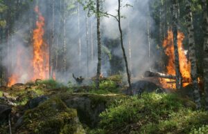 incendi sardegna