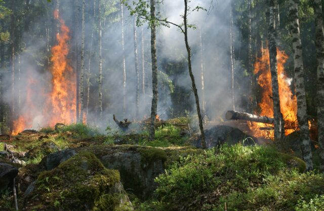 incendi sardegna